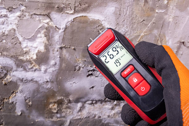 Best Local Mold Removal Service  in Gering, NE