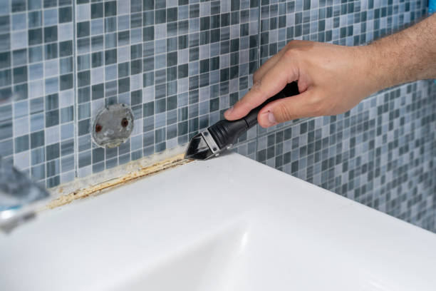 Best Emergency Mold Removal  in Gering, NE